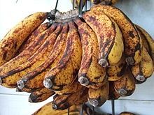 Enzymatic browning in bananas